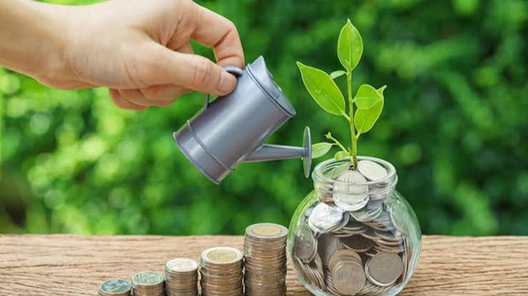 Mutual Funds: A Beginner’s Guide to Investing